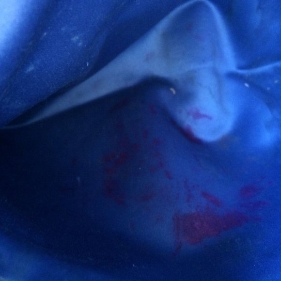 Prada Snake Bag - Picture 9 of 9